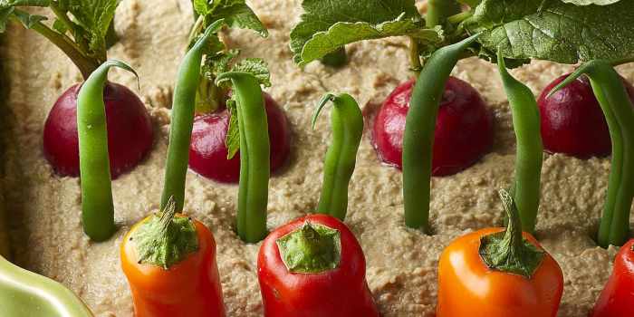 Spring herb hummus vegetable garden