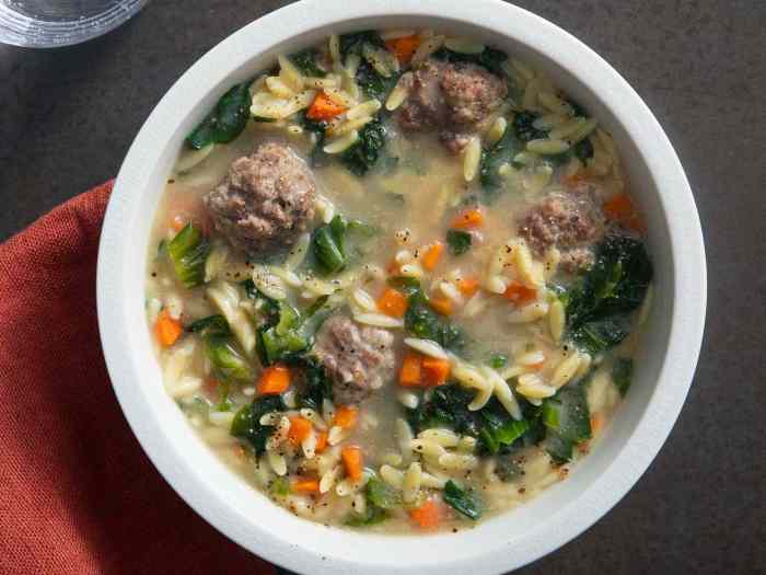 Instant pot italian wedding soup