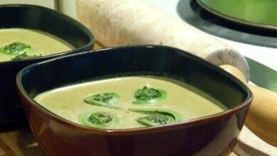 Cream of fiddlehead soup