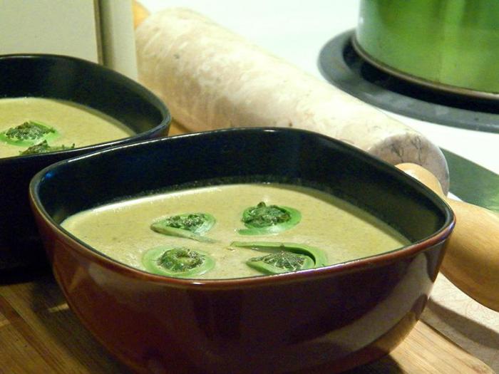 Cream of fiddlehead soup