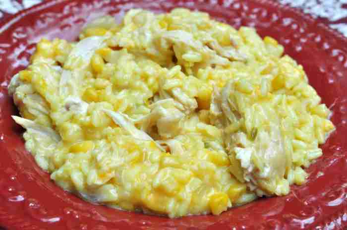 Slow cooker cheesy chicken and rice