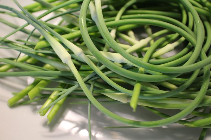 Pasta with garlic scapes