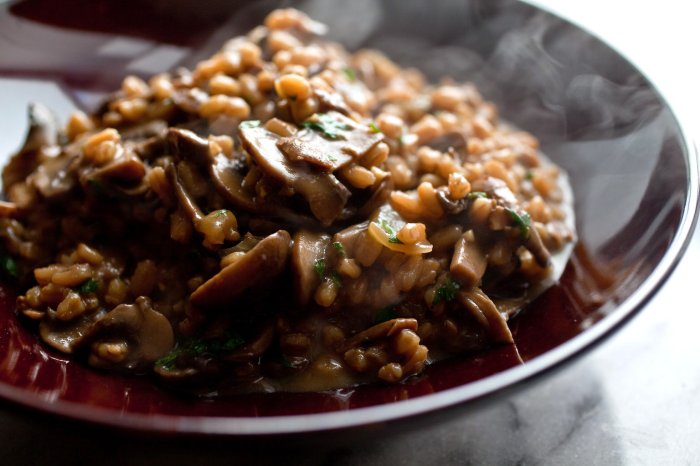 Farro mushrooms wild