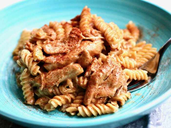 Instant pot chicken paprikash with egg noodles