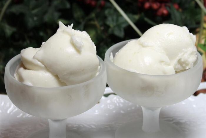 Refreshing coconut lime sorbet