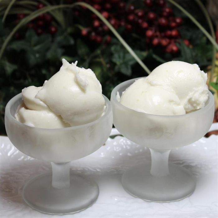 Refreshing coconut lime sorbet