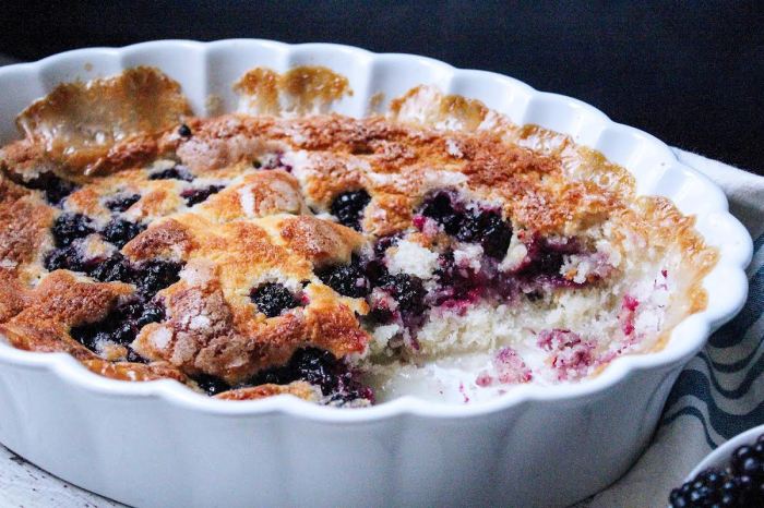 Best in show blackberry cobbler