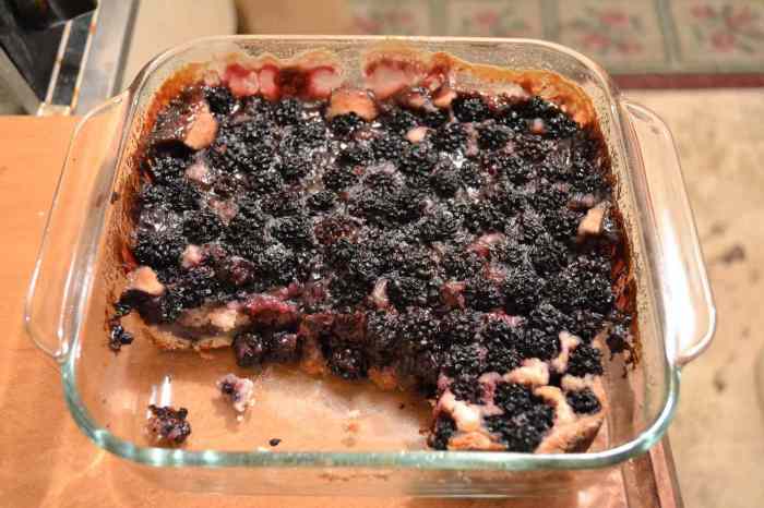 Best in show blackberry cobbler