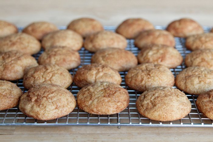 Chef johns pumpkin spice snickerdoodles