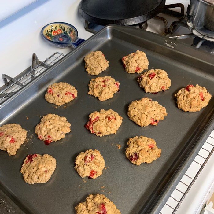 Cranberry orange oatmeal cookies