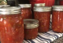 The best canning salsa