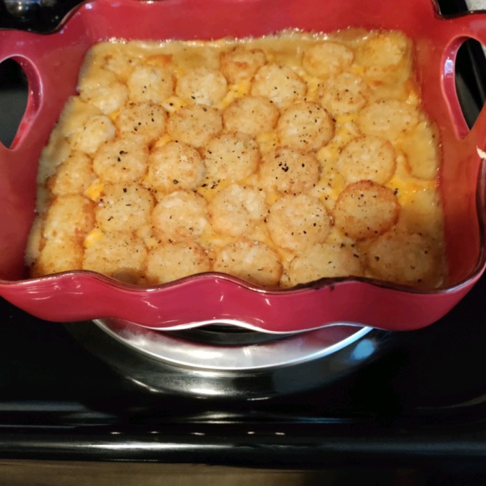 Tater tot casserole iii