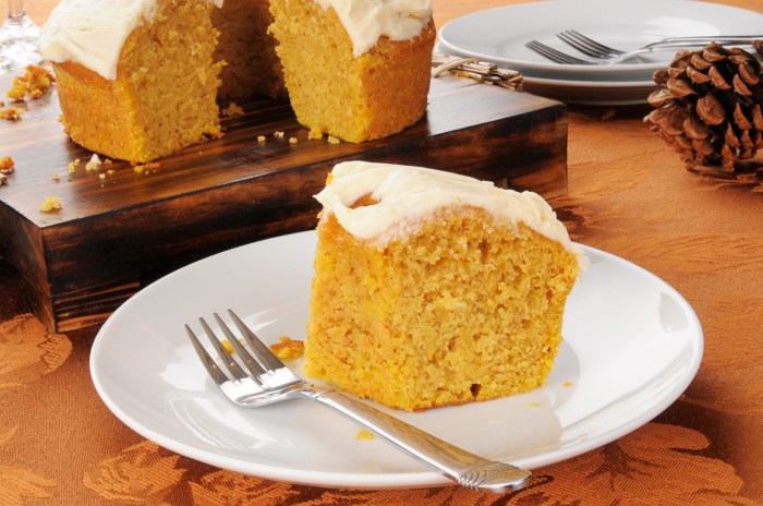 Two ingredient pumpkin cake