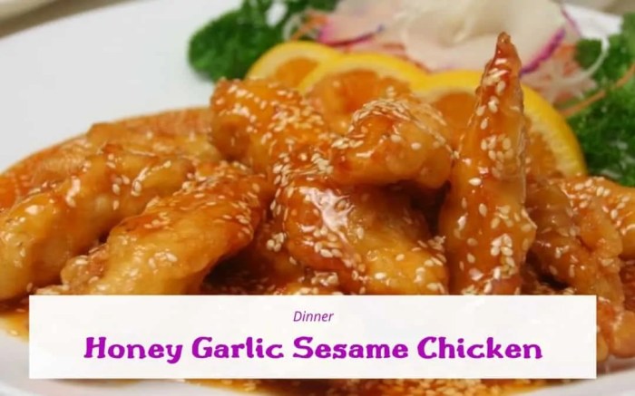 Honey garlic sesame chicken