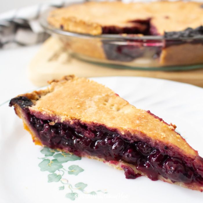 Easy berry pie with frozen berries