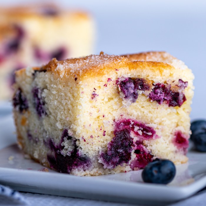 Melt in your mouth blueberry cake