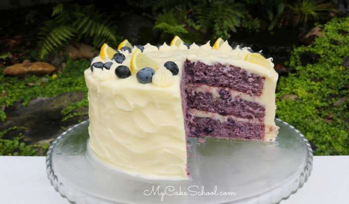 Blueberry lemon cake with buttercream frosting