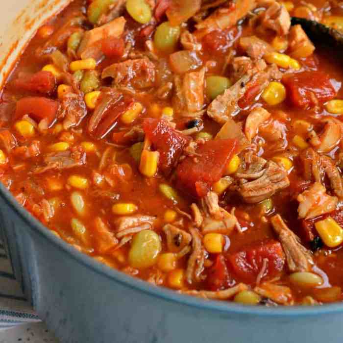 Instant pot brunswick stew