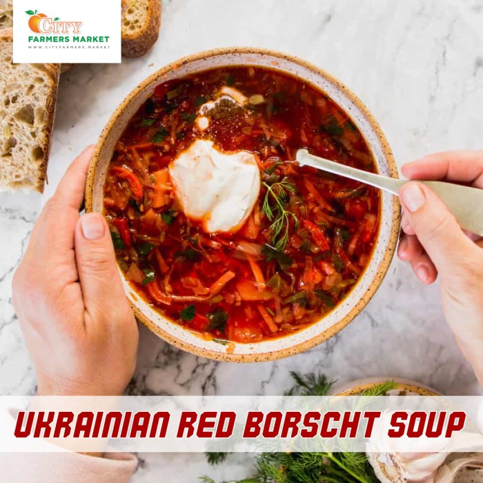 Ukrainian red borscht soup