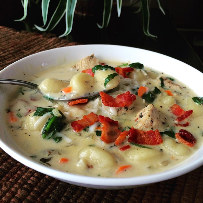 Chicken and gnocchi soup