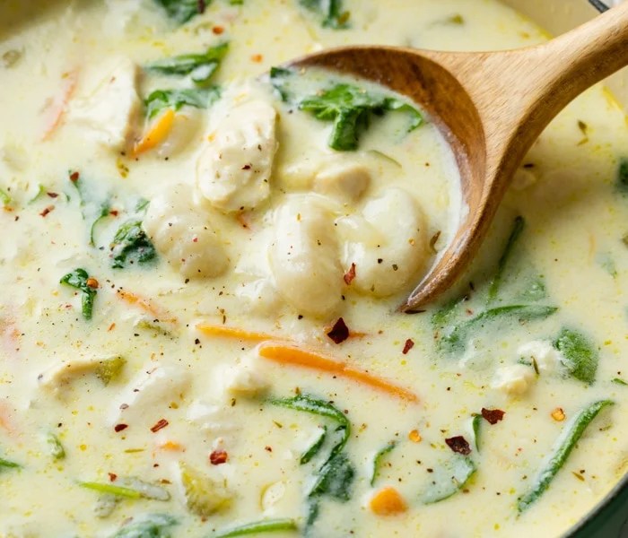 Cream of chicken and gnocchi soup