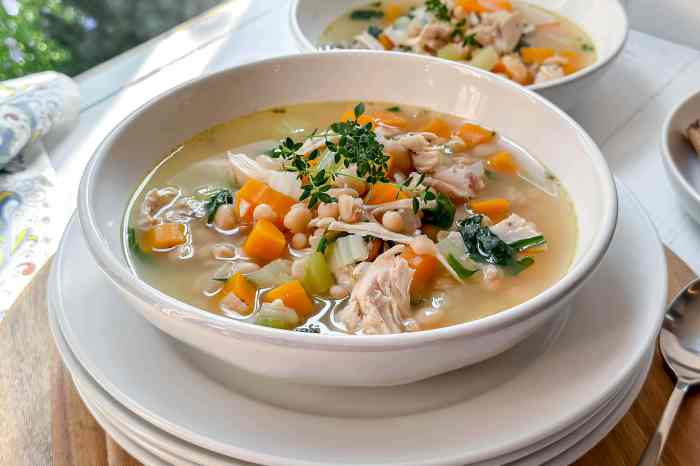 Simple chicken and white bean soup