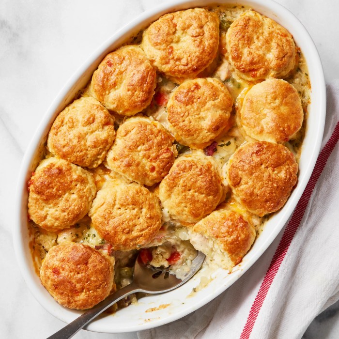 Moms fabulous chicken pot pie with biscuit crust