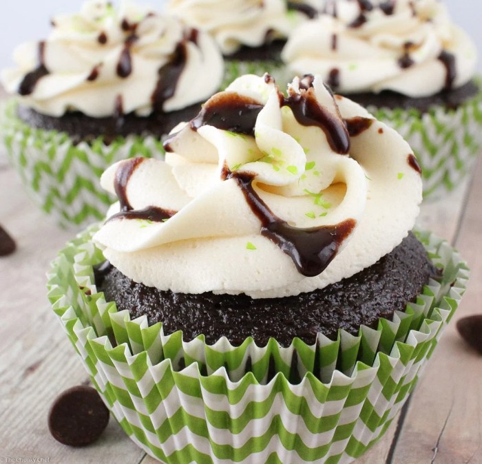 Chocolate guinness cupcakes with irish cream frosting