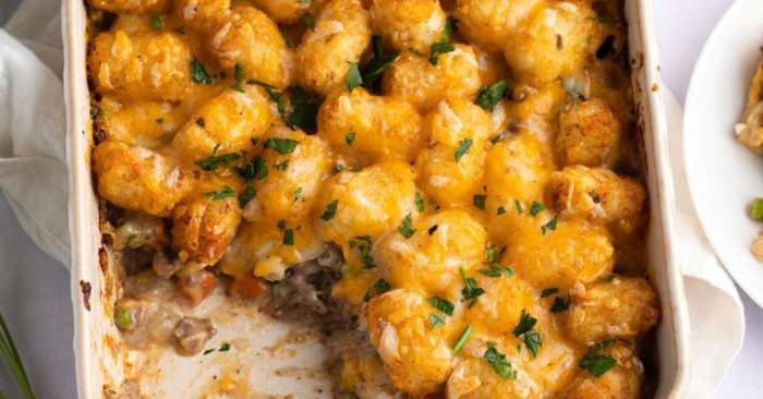 Tater tot casserole iv