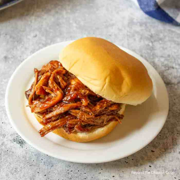 Chef johns pulled pork bbq