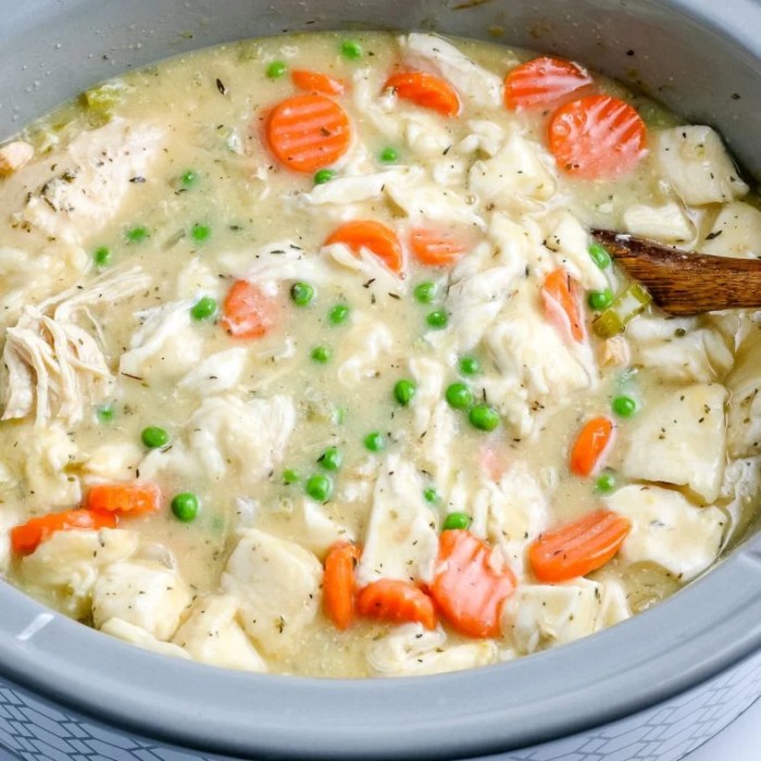 Slow cooker chicken and dumplings