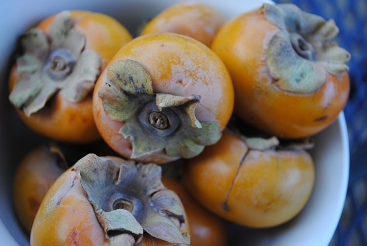 Persimmon pudding fashioned old tsp