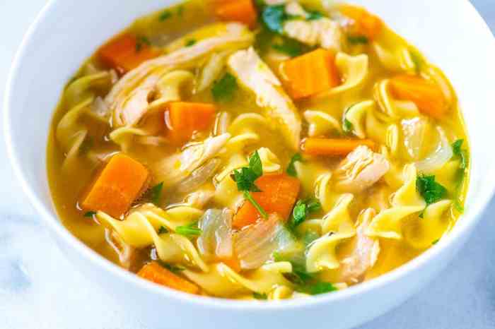 Quick and easy chicken noodle soup