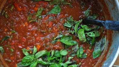 Fresh garden tomato sauce