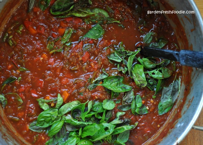 Fresh garden tomato sauce