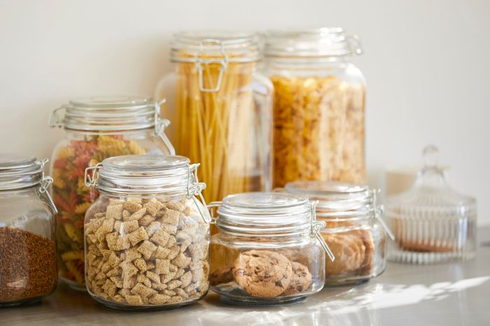 Best dry food storage containers