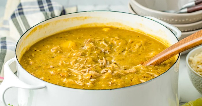 Colorado green chili chile verde