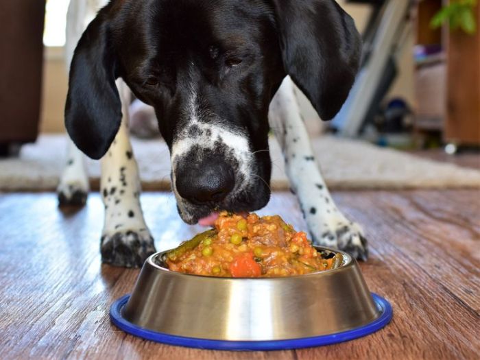 Homemade dog food with meat and vegetables