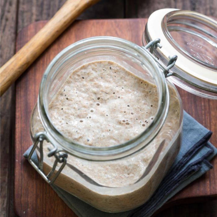 Amish friendship bread starter