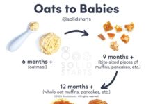 Baby led weaning oatmeal bites