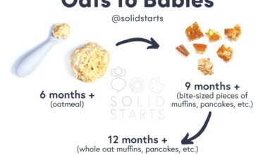 Baby led weaning oatmeal bites