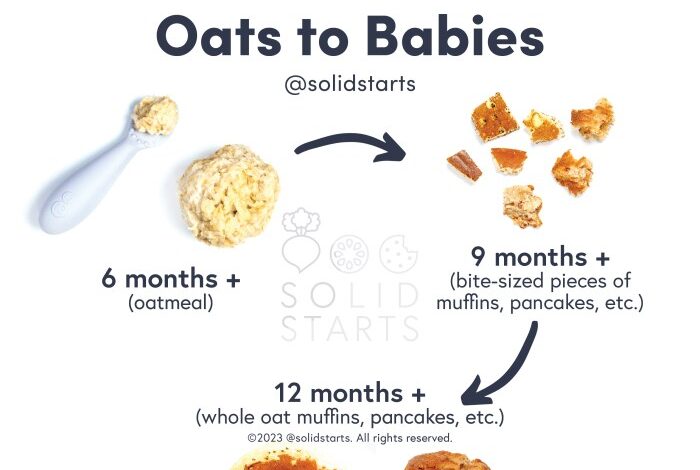 Baby led weaning oatmeal bites