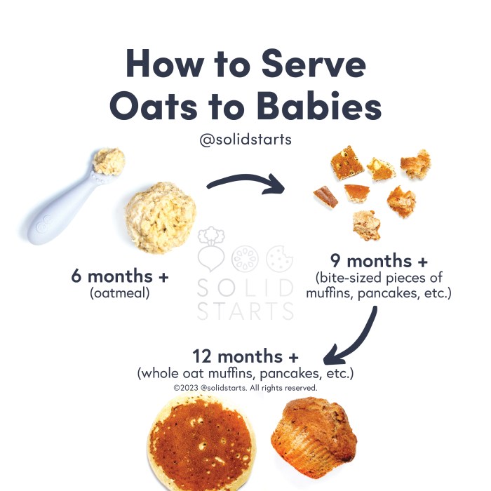 Baby led weaning oatmeal bites