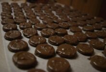 Chocolate coated peanut butter crackers