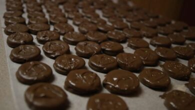 Chocolate coated peanut butter crackers