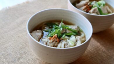 Chicken udon noodle soup