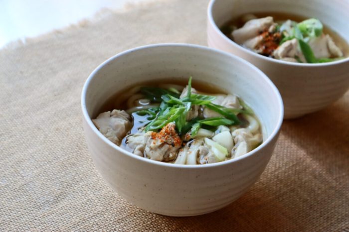 Chicken udon noodle soup