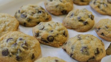 Passover chocolate chip cookies