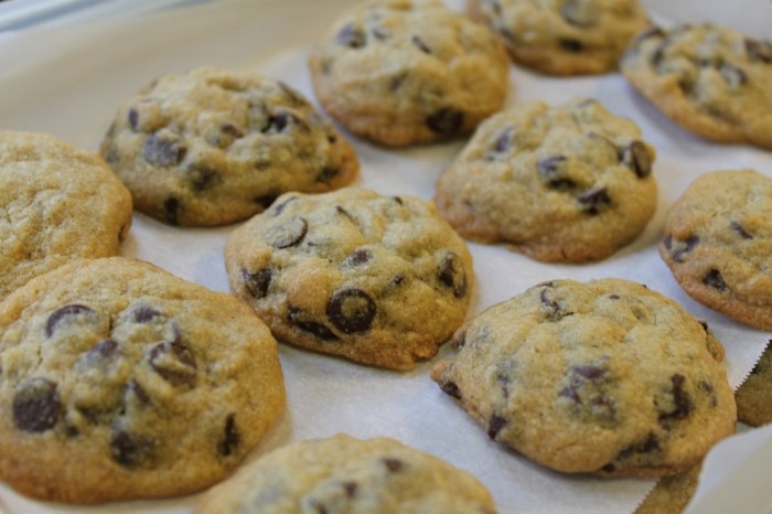 Passover chocolate chip cookies