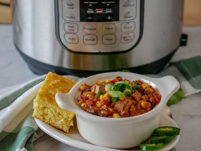 Instant pot pork stew